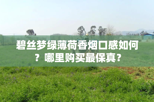 碧丝梦绿薄荷香烟口感如何？哪里购买最保真？